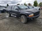 2003 Dodge Dakota Sport