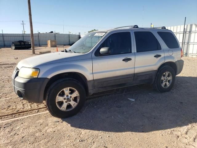 2006 Ford Escape XLT