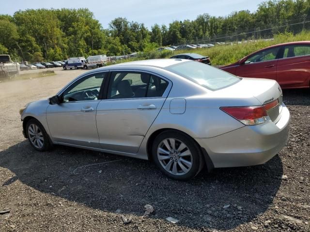 2011 Honda Accord EXL