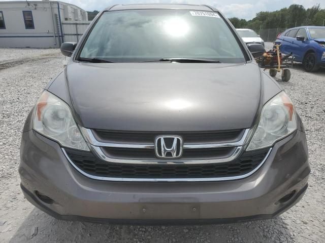 2010 Honda CR-V EX