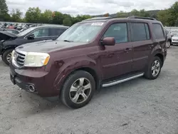 Honda salvage cars for sale: 2014 Honda Pilot EXL