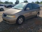 2004 Honda Odyssey EXL