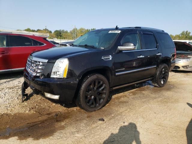 2011 Cadillac Escalade Premium