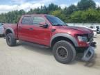 2014 Ford F150 SVT Raptor