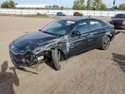 Salvage cars for sale at Columbia Station, OH auction: 2024 Hyundai Elantra SEL