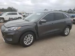 Salvage cars for sale at Newton, AL auction: 2020 Ford Escape SE