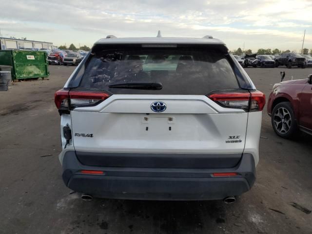 2023 Toyota Rav4 XLE Premium