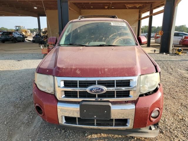 2011 Ford Escape Limited