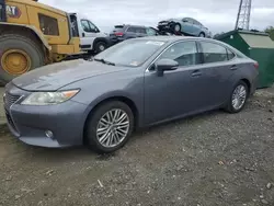 Salvage cars for sale at Windsor, NJ auction: 2013 Lexus ES 350