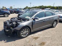 Salvage cars for sale at Indianapolis, IN auction: 2019 Hyundai Sonata SE