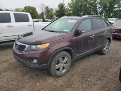 Salvage cars for sale from Copart Central Square, NY: 2013 KIA Sorento EX