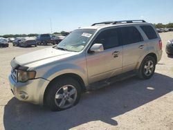 Salvage cars for sale at San Antonio, TX auction: 2010 Ford Escape Limited