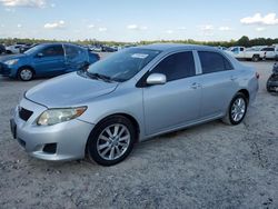 Toyota salvage cars for sale: 2010 Toyota Corolla Base