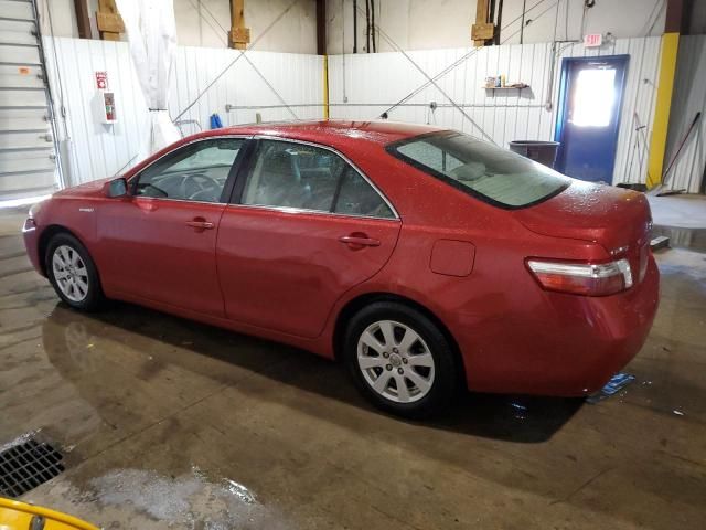 2009 Toyota Camry Hybrid