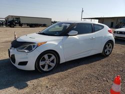 Salvage cars for sale from Copart Temple, TX: 2014 Hyundai Veloster