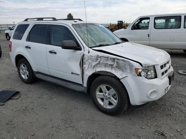 2010 Ford Escape Hybrid