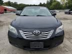 2009 Toyota Camry Hybrid