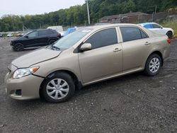 Toyota Vehiculos salvage en venta: 2009 Toyota Corolla Base