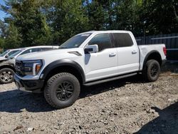 Salvage cars for sale at Candia, NH auction: 2024 Ford F150 Raptor