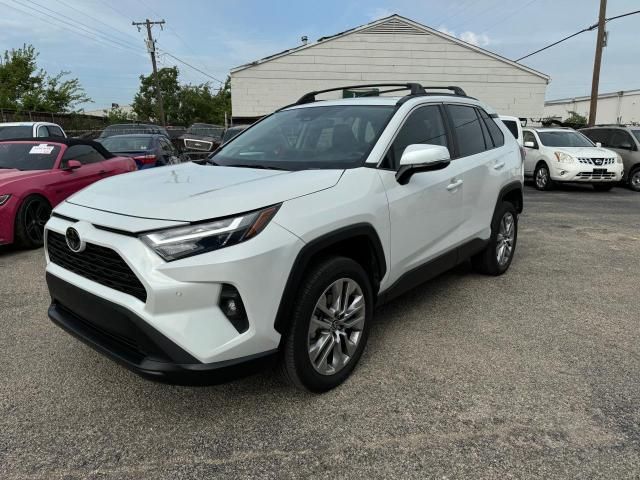 2023 Toyota Rav4 XLE Premium