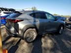 2023 Lexus NX 350H