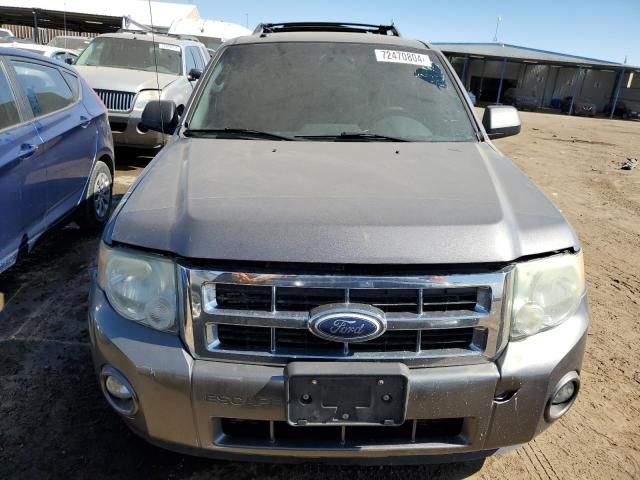 2010 Ford Escape XLT