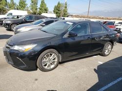 Salvage cars for sale at Rancho Cucamonga, CA auction: 2017 Toyota Camry LE