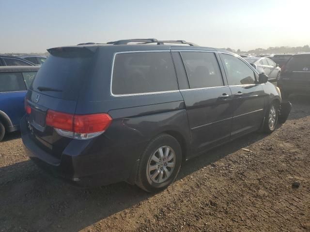 2009 Honda Odyssey EXL