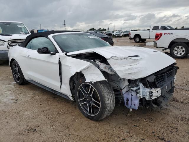 2020 Ford Mustang