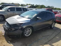 Salvage cars for sale at Louisville, KY auction: 2016 Ford Focus SE