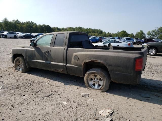 2008 Dodge Dakota SXT