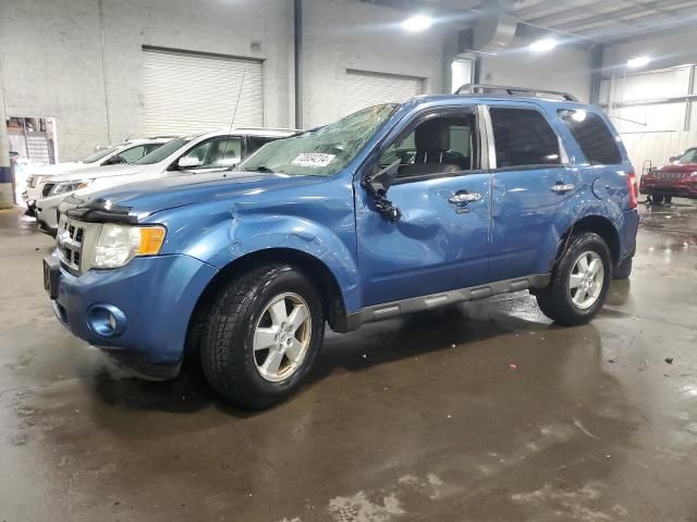 2009 Ford Escape XLT