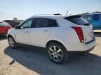 2012 Cadillac SRX Premium Collection