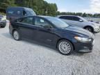 2015 Ford Fusion S Hybrid