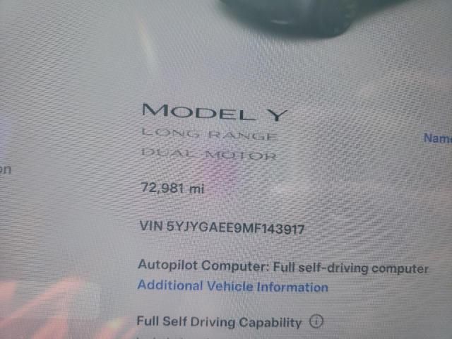 2021 Tesla Model Y