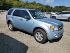 2008 Ford Escape HEV