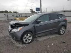 Ford Escape Vehiculos salvage en venta: 2015 Ford Escape SE