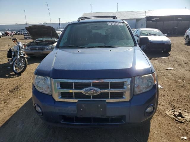 2008 Ford Escape XLT