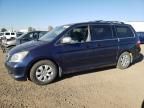 2007 Honda Odyssey EX