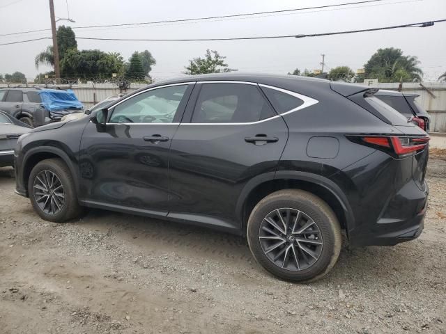 2024 Lexus NX 250 Base