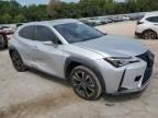 2019 Lexus UX 200