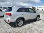 2014 KIA Sorento EX