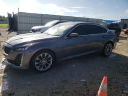 Salvage cars for sale at Arcadia, FL auction: 2022 Cadillac CT5 Premium Luxury