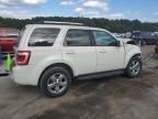 2009 Ford Escape Limited