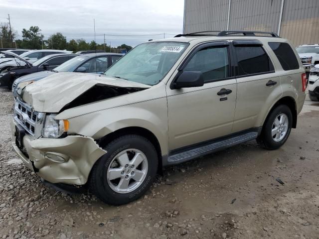 2010 Ford Escape XLT