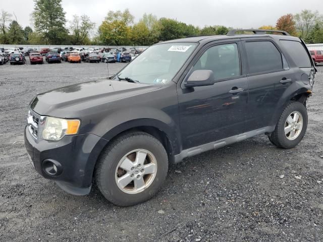 2011 Ford Escape XLT