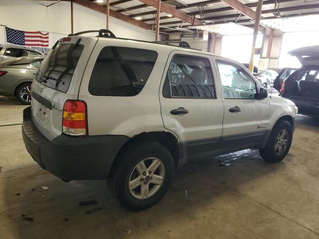 2006 Ford Escape HEV