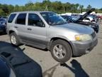 2005 Ford Escape XLT