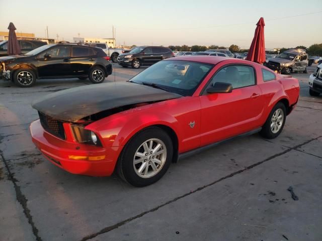 2009 Ford Mustang