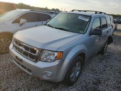 Salvage cars for sale at Memphis, TN auction: 2011 Ford Escape XLT